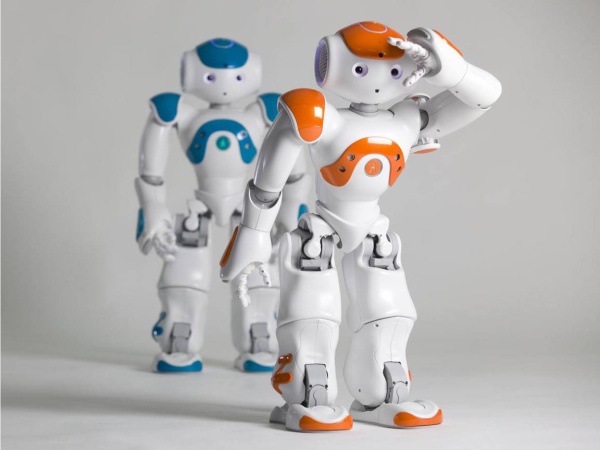 Smart robot